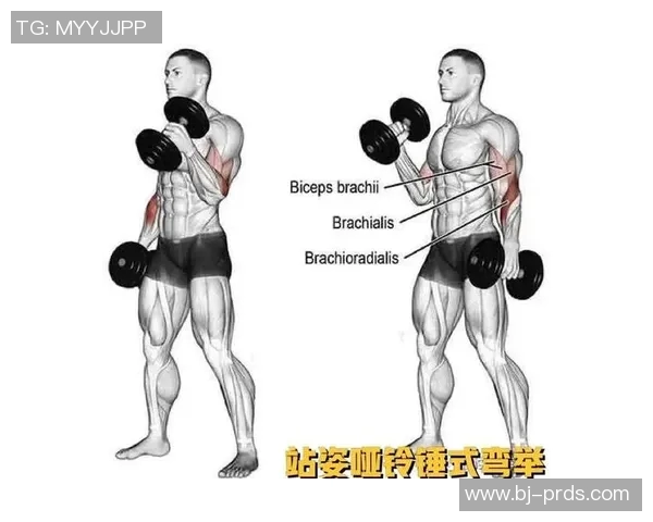 哑铃训练肱三头肌的有效方法与技巧分享